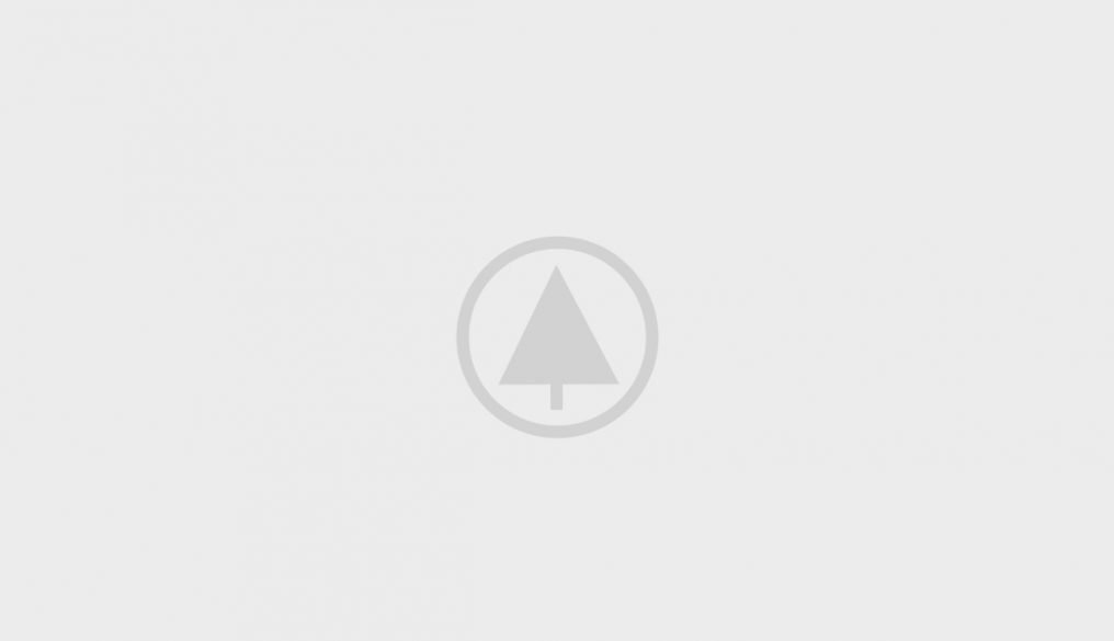 wood-gallery-placeholder-5