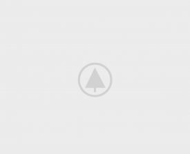 wood-portfolio-placeholder